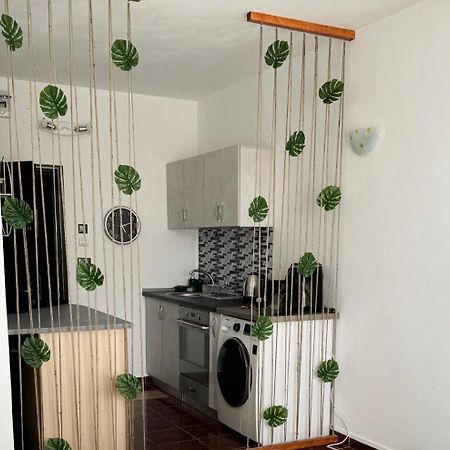 Garsoniera Saturn Apartment Mangalia Luaran gambar
